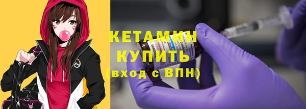хмурый Аркадак