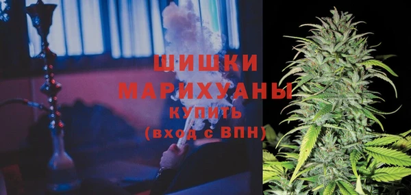 хмурый Аркадак