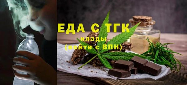 хмурый Аркадак