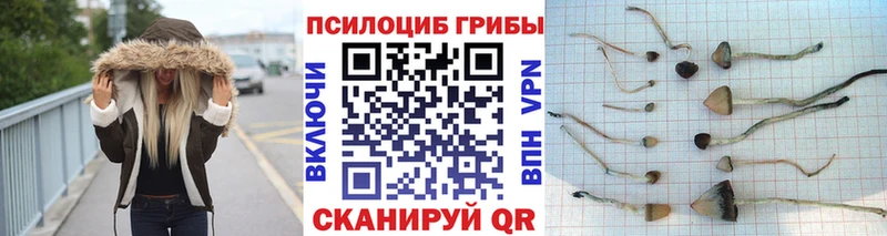 Псилоцибиновые грибы Magic Shrooms  Велиж 